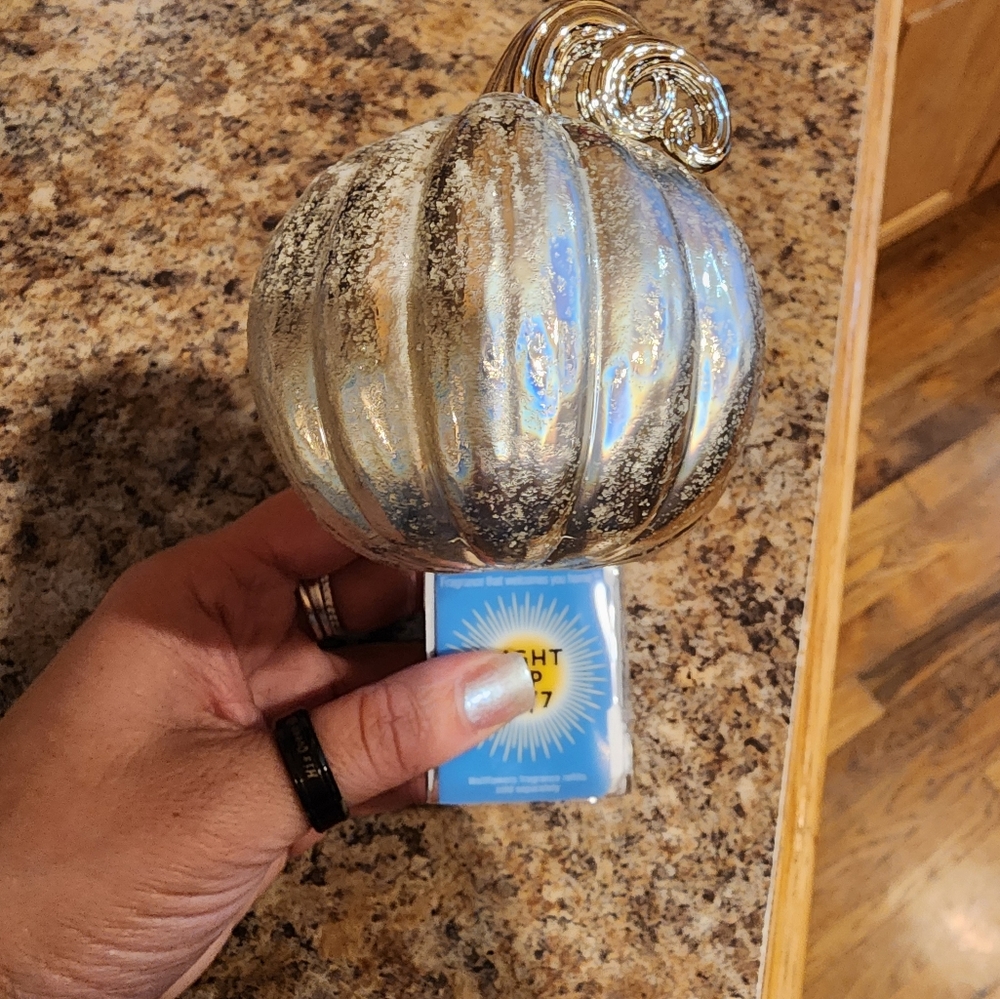 B&BW NWT pumpkin wallflower plug.